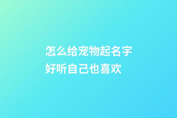 怎么给宠物起名字好听自己也喜欢