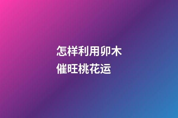 怎样利用卯木催旺桃花运