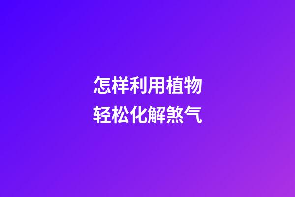 怎样利用植物轻松化解煞气