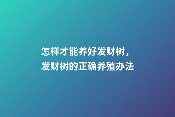 怎样才能养好发财树，发财树的正确养殖办法-第1张-观点-玄机派