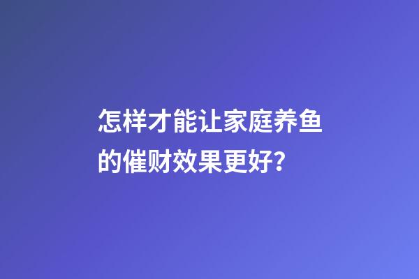 怎样才能让家庭养鱼的催财效果更好？