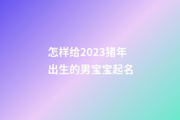 怎样给2023猪年出生的男宝宝起名