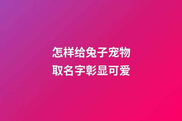 怎样给兔子宠物取名字彰显可爱