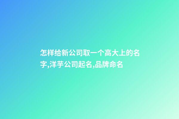 怎样给新公司取一个高大上的名字,洋芋公司起名,品牌命名-第1张-公司起名-玄机派