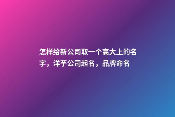怎样给新公司取一个高大上的名字，洋芋公司起名，品牌命名-第1张-公司起名-玄机派