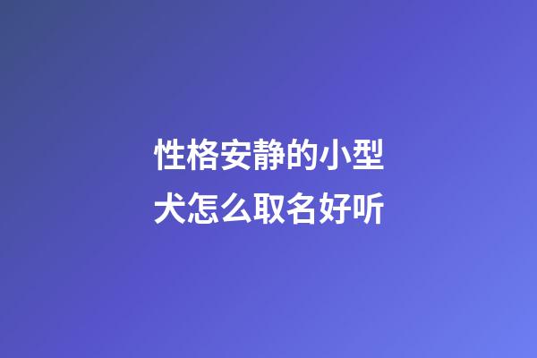 性格安静的小型犬怎么取名好听
