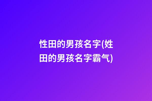 性田的男孩名字(姓田的男孩名字霸气)
