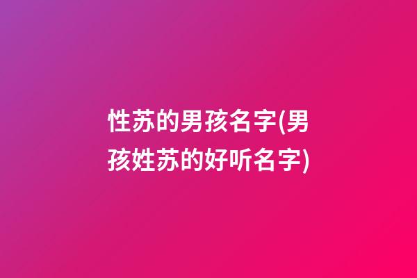 性苏的男孩名字(男孩姓苏的好听名字)