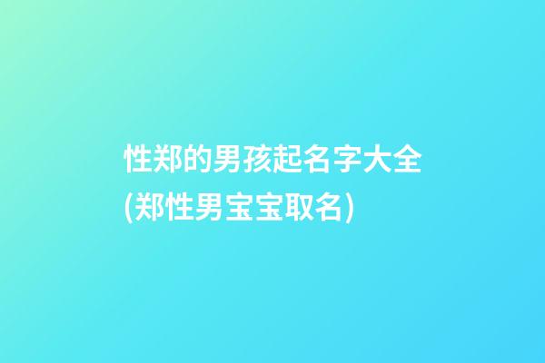 性郑的男孩起名字大全(郑性男宝宝取名)