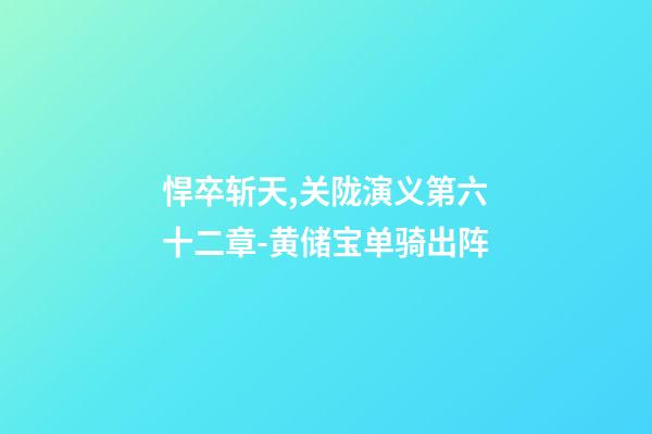 悍卒斩天,关陇演义第六十二章-黄储宝单骑出阵-第1张-观点-玄机派
