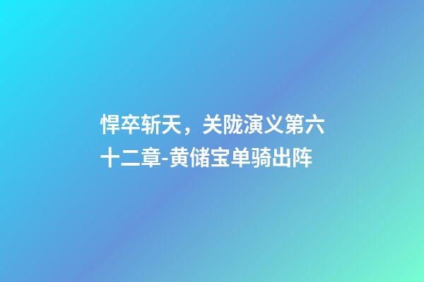 悍卒斩天，关陇演义第六十二章-黄储宝单骑出阵-第1张-观点-玄机派