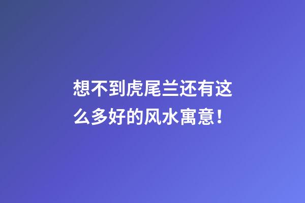 想不到虎尾兰还有这么多好的风水寓意！