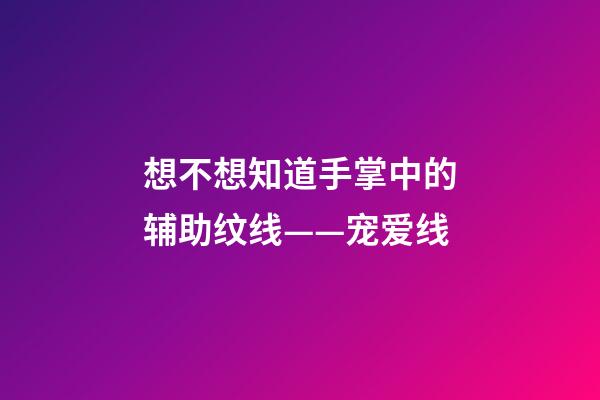 想不想知道手掌中的辅助纹线——宠爱线