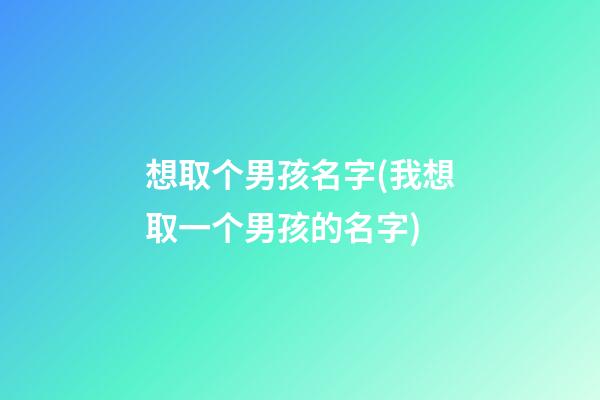 想取个男孩名字(我想取一个男孩的名字)