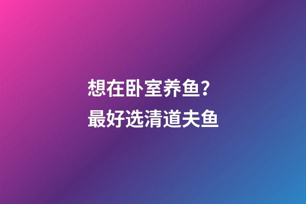 想在卧室养鱼？最好选清道夫鱼