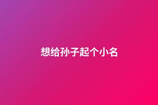 想给孙子起个小名(给孙子取个小名什么好听)-第1张-宝宝起名-玄机派