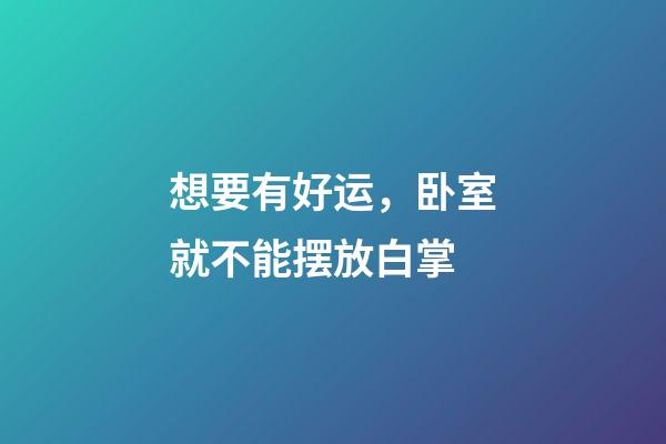 想要有好运，卧室就不能摆放白掌
