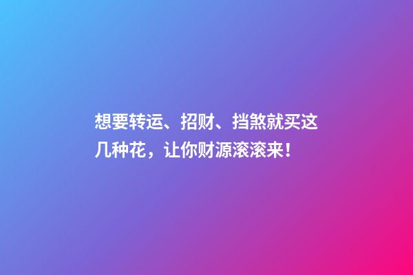 想要转运、招财、挡煞就买这几种花，让你财源滚滚来！