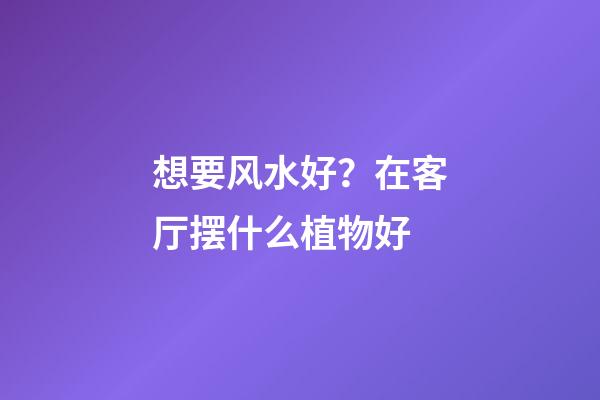 想要风水好？在客厅摆什么植物好