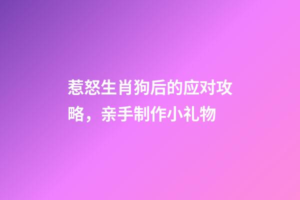 惹怒生肖狗后的应对攻略，亲手制作小礼物