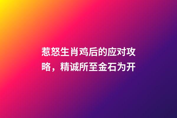 惹怒生肖鸡后的应对攻略，精诚所至金石为开
