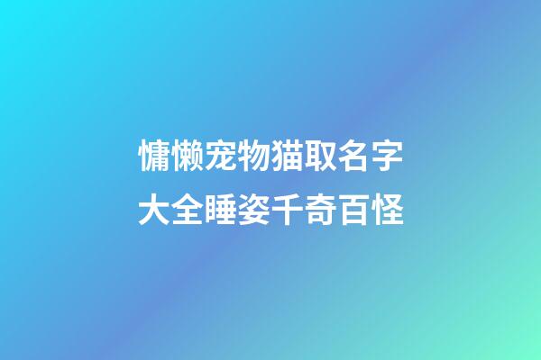 慵懒宠物猫取名字大全睡姿千奇百怪