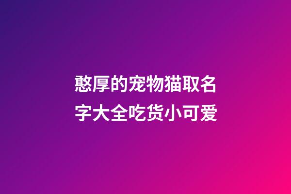 憨厚的宠物猫取名字大全吃货小可爱