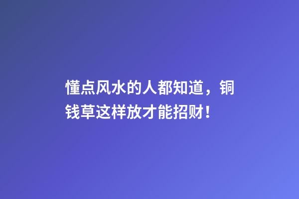 懂点风水的人都知道，铜钱草这样放才能招财！
