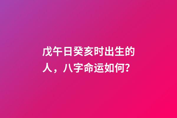 戊午日癸亥时出生的人，八字命运如何？
