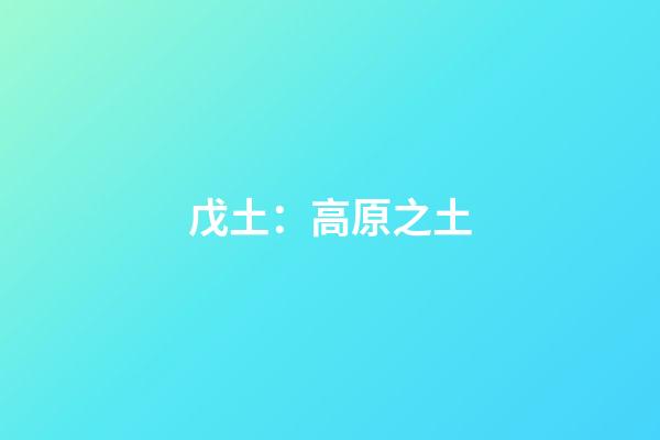 戊土：高原之土