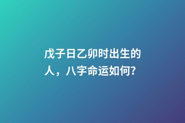戊子日乙卯时出生的人，八字命运如何？