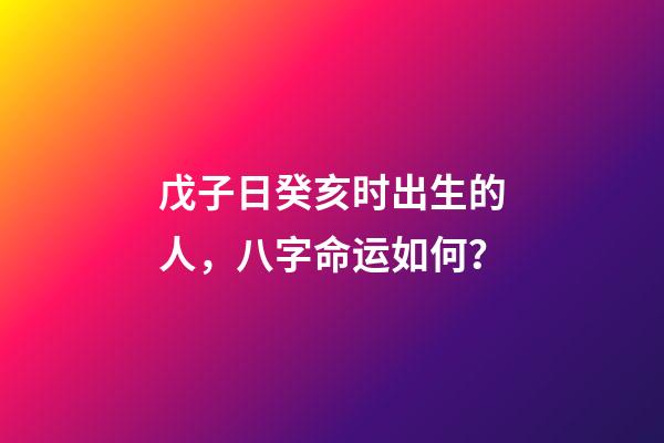 戊子日癸亥时出生的人，八字命运如何？