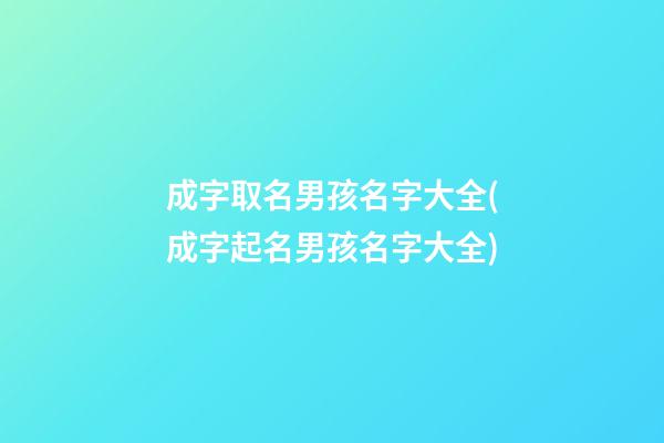 成字取名男孩名字大全(成字起名男孩名字大全)