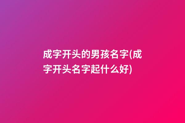 成字开头的男孩名字(成字开头名字起什么好)