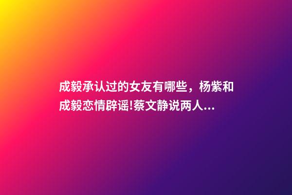成毅承认过的女友有哪些，杨紫和成毅恋情辟谣!蔡文静说两人许久未联系!成毅没有女朋友!-第1张-观点-玄机派