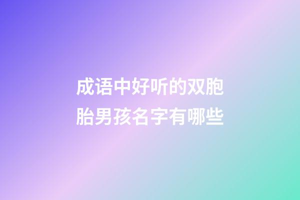 成语中好听的双胞胎男孩名字有哪些