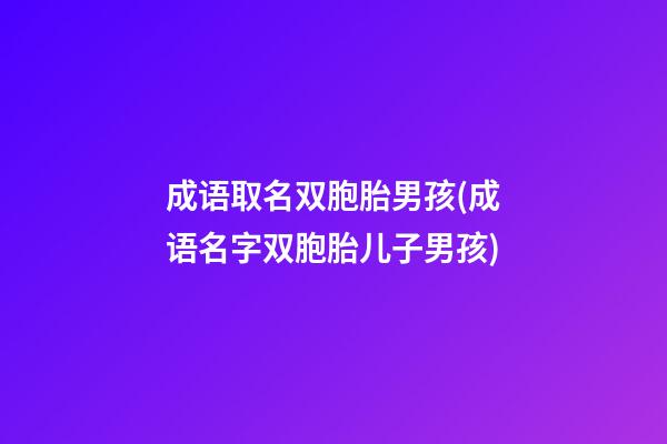 成语取名双胞胎男孩(成语名字双胞胎儿子男孩)