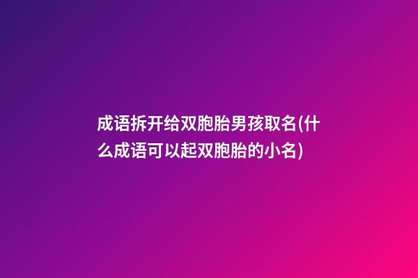 成语拆开给双胞胎男孩取名(什么成语可以起双胞胎的小名)