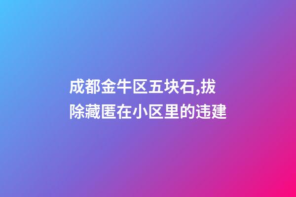成都金牛区五块石,拔除藏匿在小区里的违建-第1张-观点-玄机派