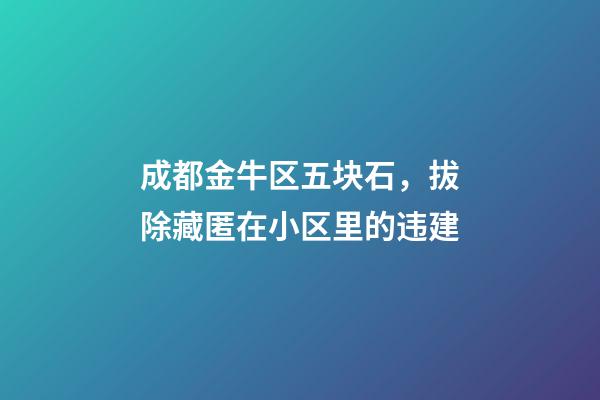 成都金牛区五块石，拔除藏匿在小区里的违建-第1张-观点-玄机派