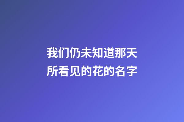 我们仍未知道那天所看见的花的名字