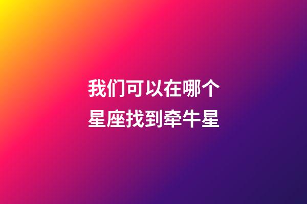 我们可以在哪个星座找到牵牛星