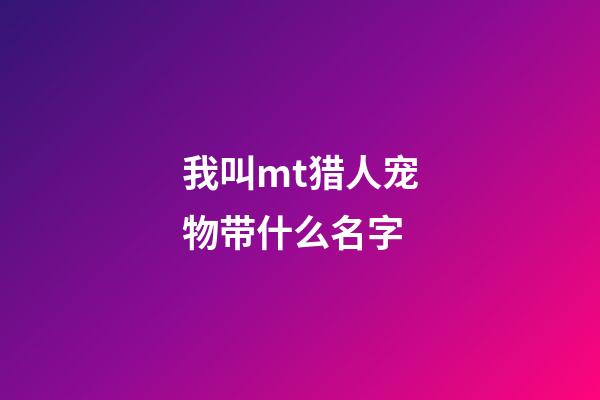 我叫mt猎人宠物带什么名字