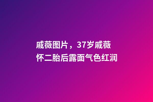 戚薇图片，37岁戚薇怀二胎后露面气色红润-第1张-观点-玄机派