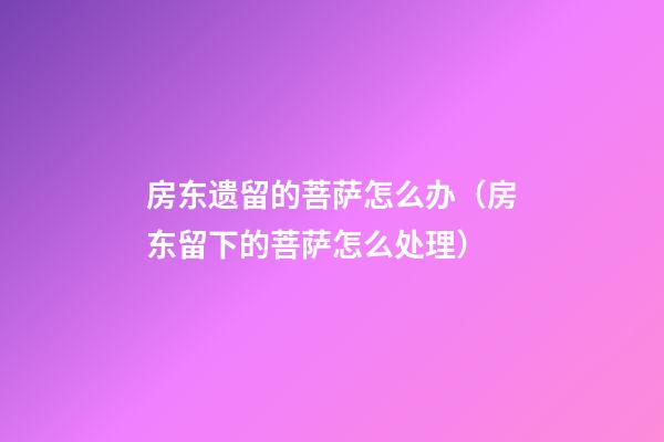 房东遗留的菩萨怎么办（房东留下的菩萨怎么处理）