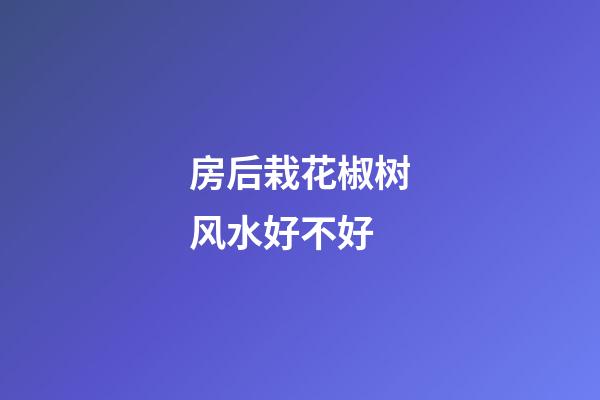房后栽花椒树风水好不好