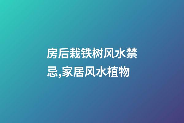 房后栽铁树风水禁忌,家居风水植物