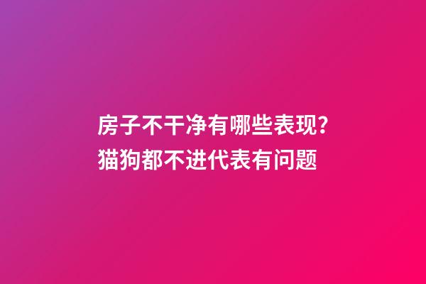 房子不干净有哪些表现？猫狗都不进代表有问题