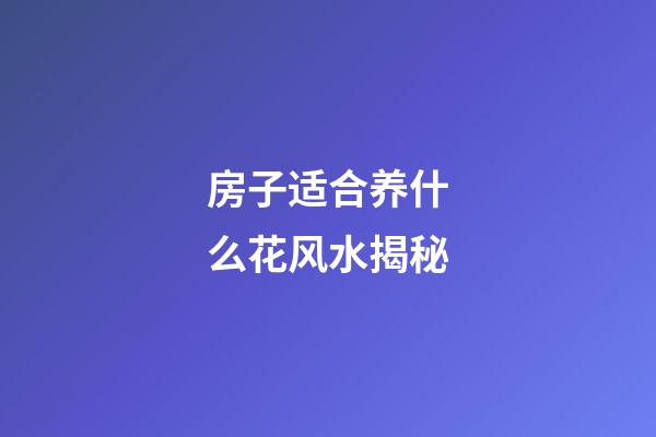 房子适合养什么花风水揭秘