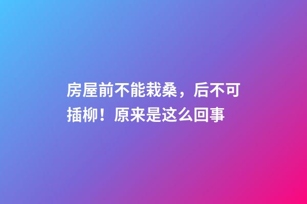 房屋前不能栽桑，后不可插柳！原来是这么回事